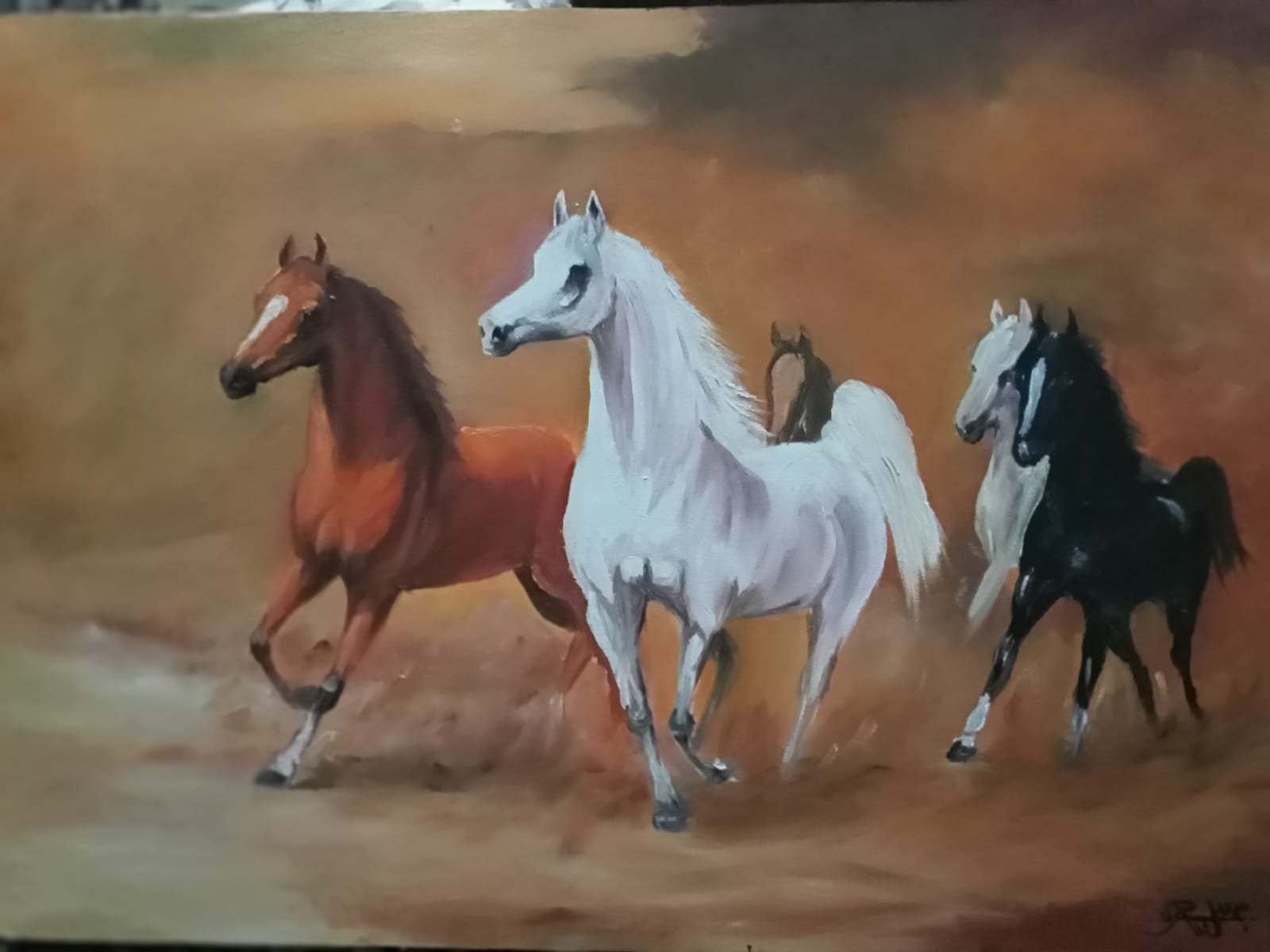 A herd of Arabian horses in a free race