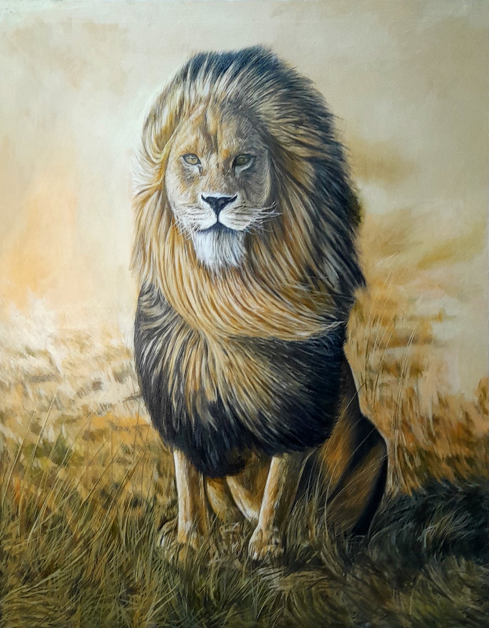 the king (lion)